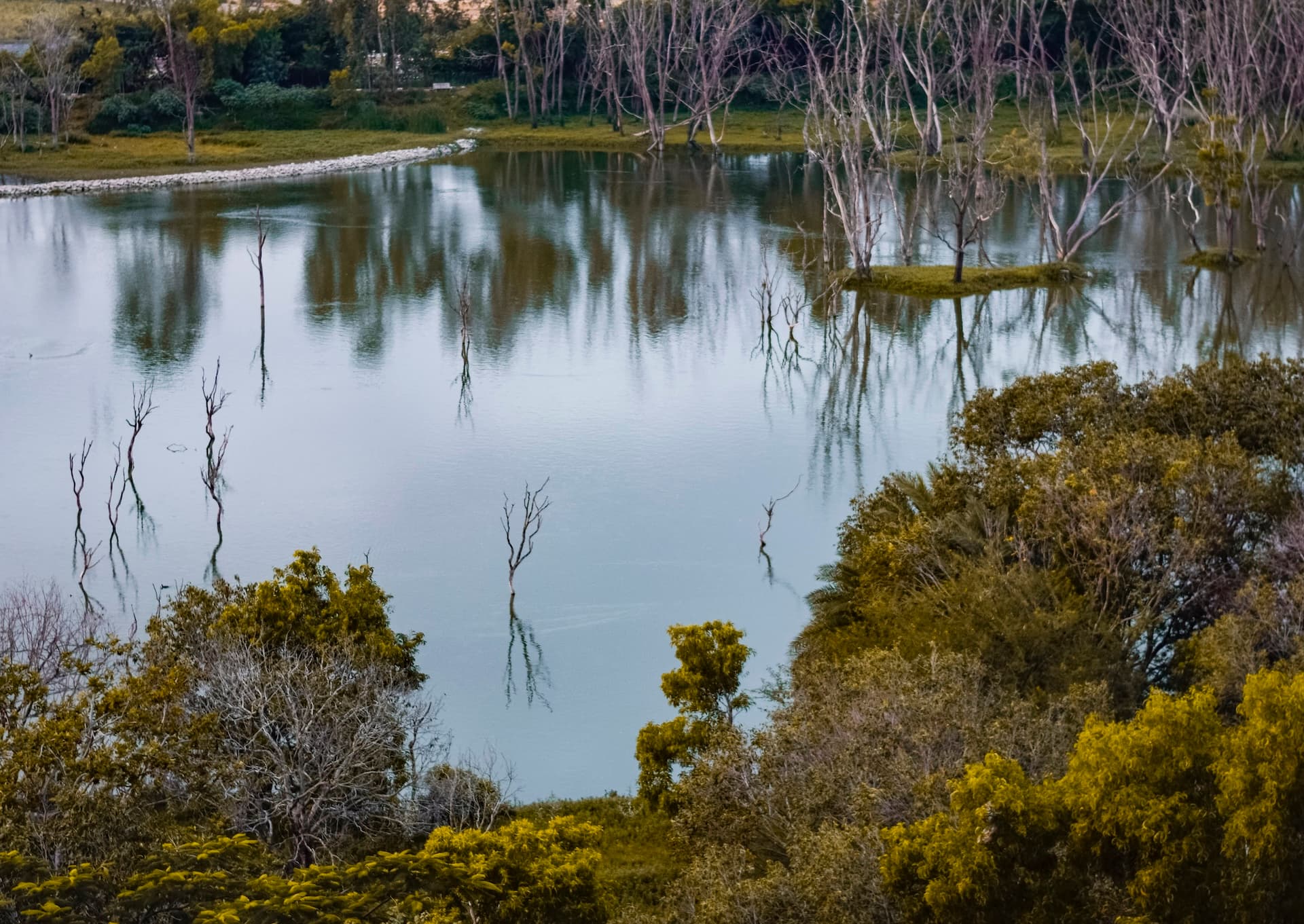 A lake in Bangalore — 1