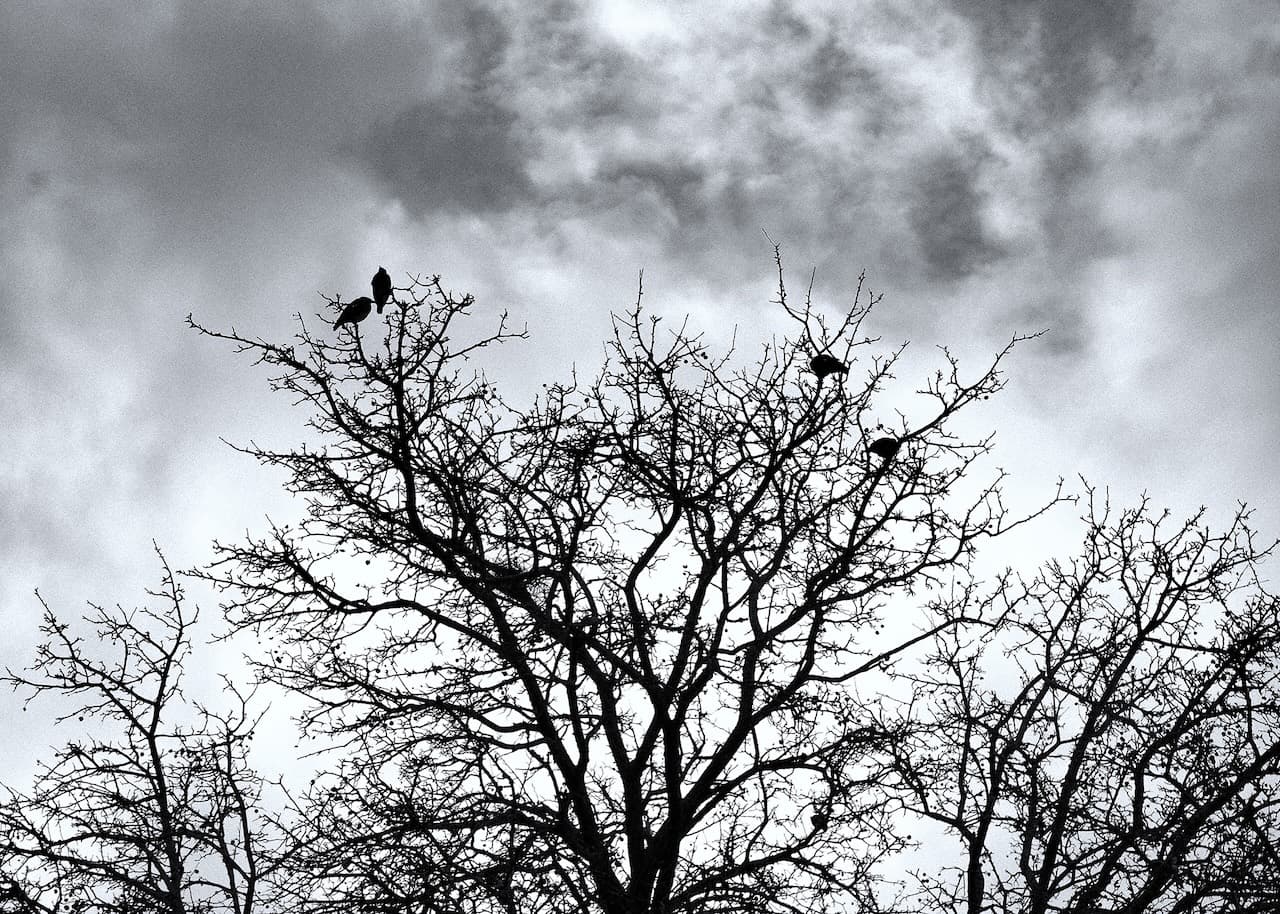 Conversations with the Sky — 1