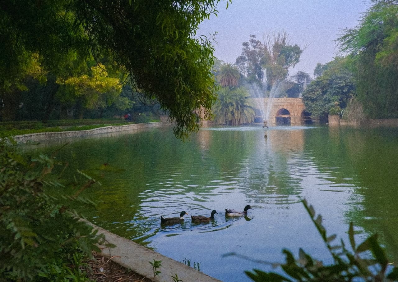 Evenings at Lodhi Garden — 1