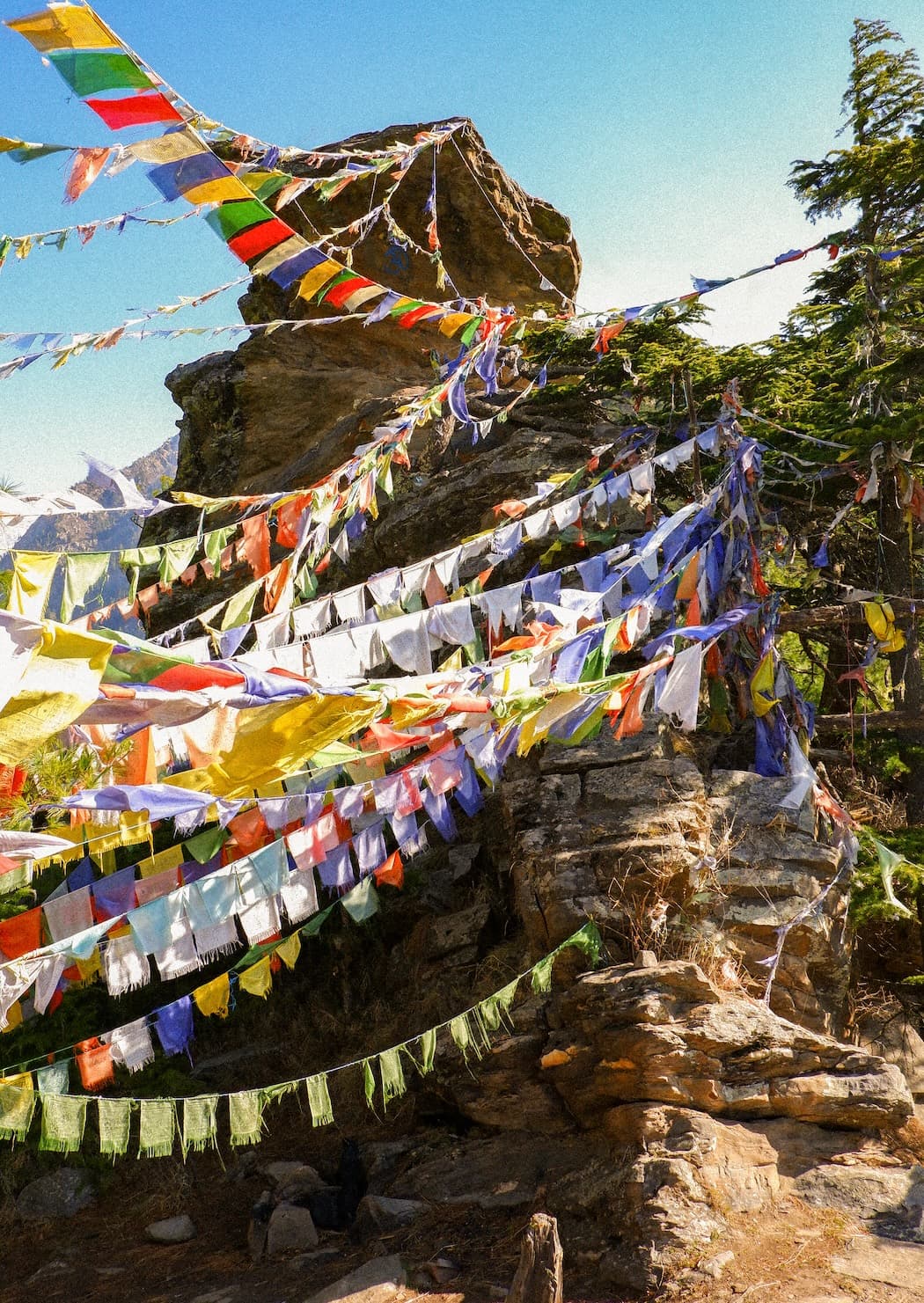Lama Top, Dharali — 1