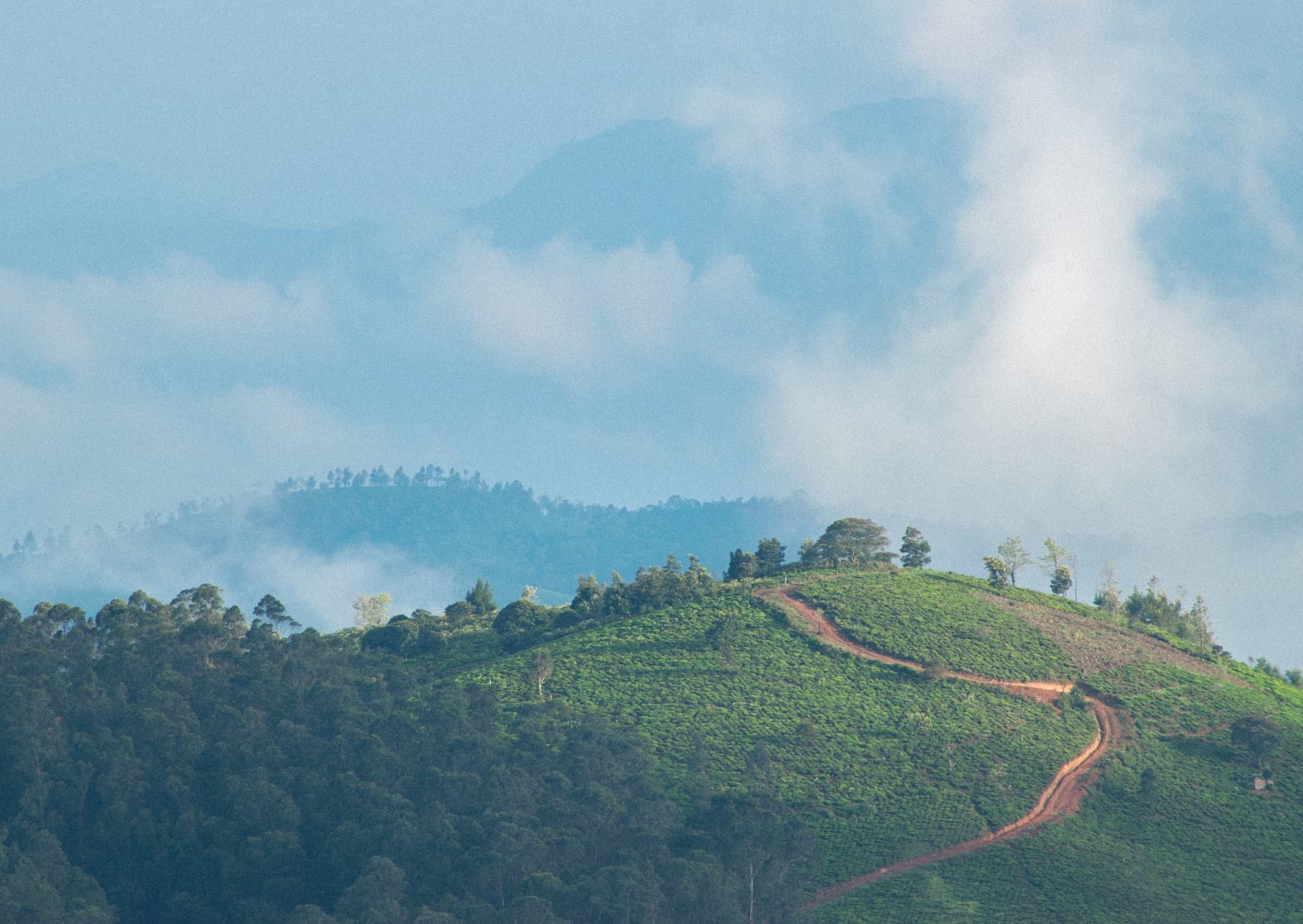 Landscapes of Nilgiris 01 — 1