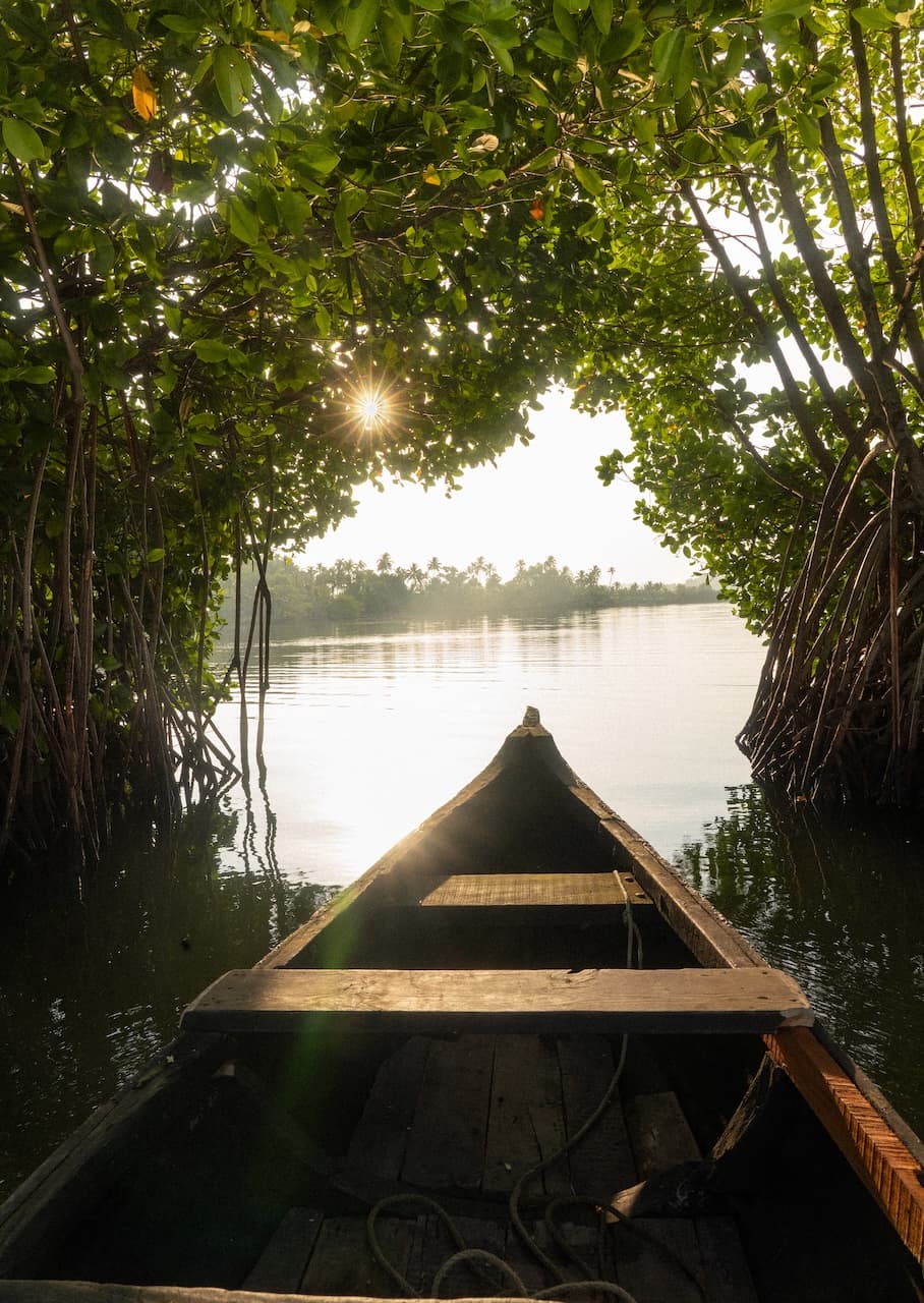 Monroe Island, Varkala — 1