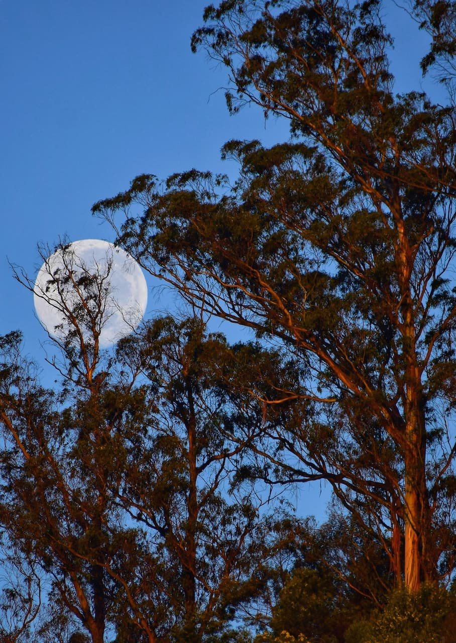 My First Moonset — 1