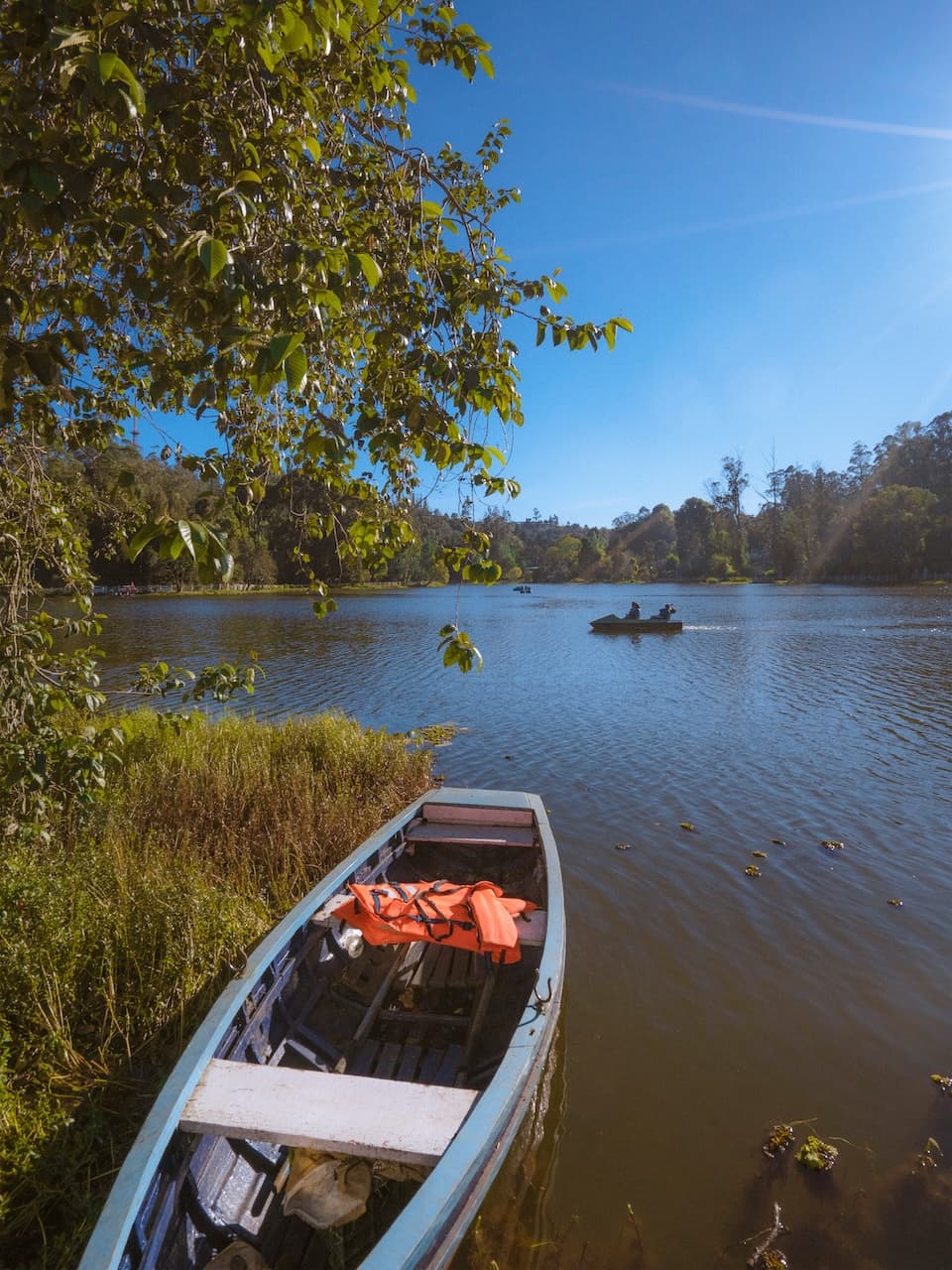 Stillness by the lake — 1