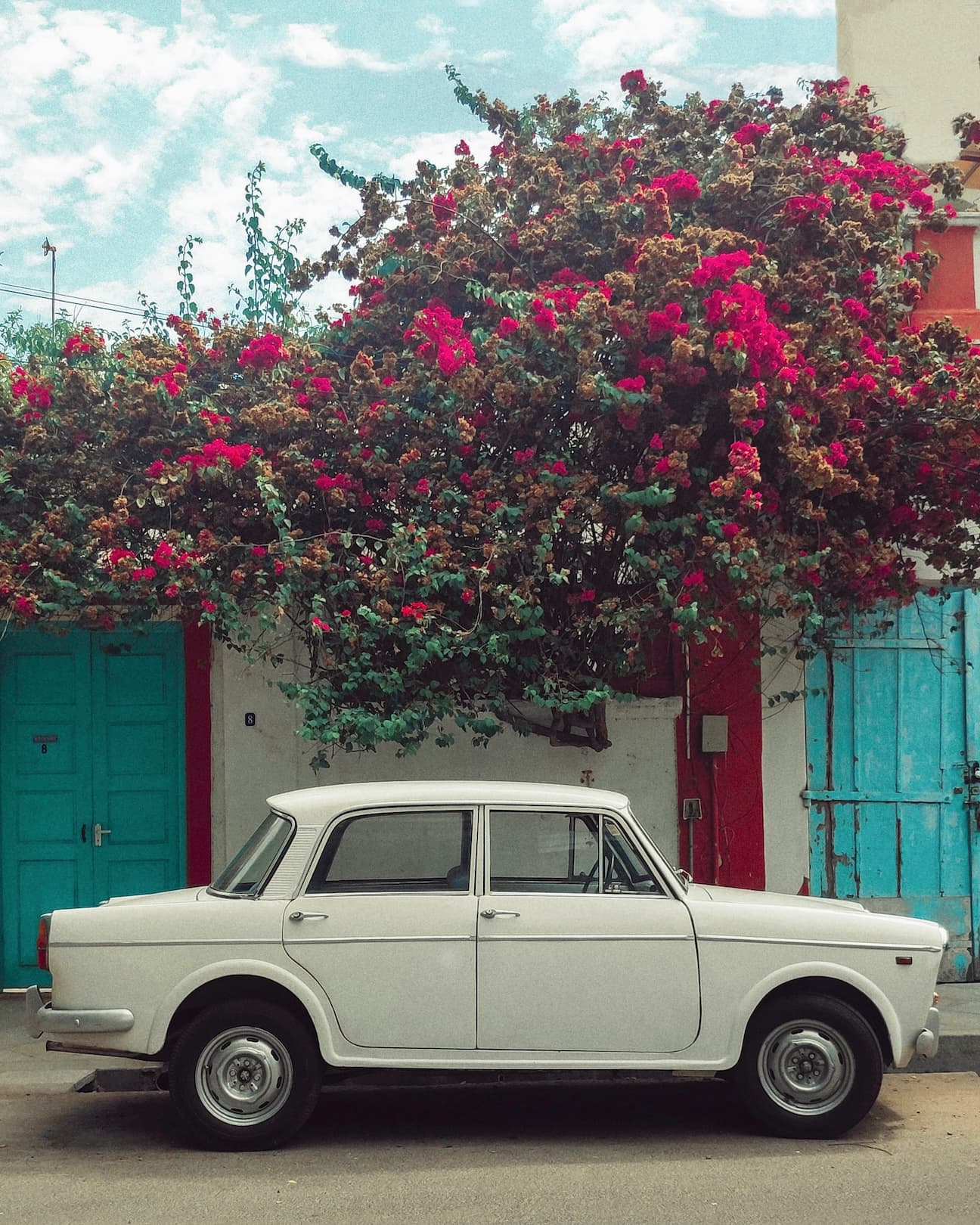The Bouganvillae Ride